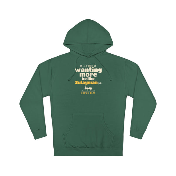 Be Like Sulayman (AS) Hoodie | Prophet Sulayman (Solomon) Gratitude Story, Qur'an 27:18-19 on the Back | AdabStars