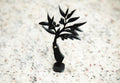 The Olive Tree alternate view – Taqwa Arts