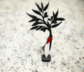 The Olive Tree – Taqwa Arts