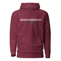 Alhamdulillah Dual-Language Hoodie - Modern Arabic & English Design Unisex Hoodie back view – Taqwa Arts